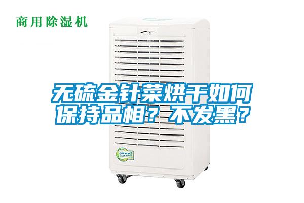 無硫金針菜烘干如何保持品相？不發(fā)黑？