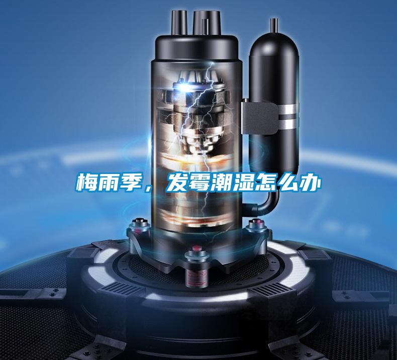 梅雨季，發(fā)霉潮濕怎么辦