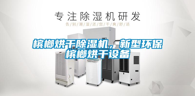 檳榔烘干除濕機(jī)，新型環(huán)保檳榔烘干設(shè)備
