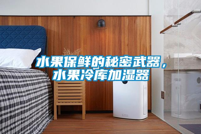 水果保鮮的秘密武器，水果冷庫加濕器