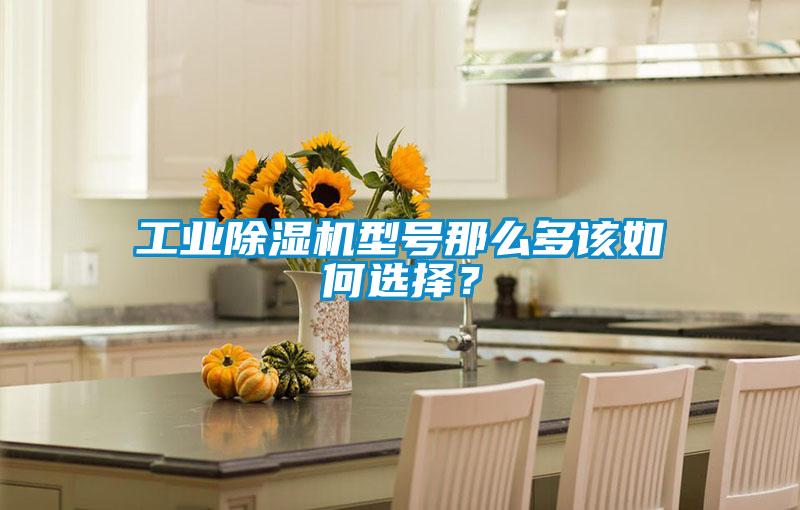 工業除濕機型號那么多該如何選擇？