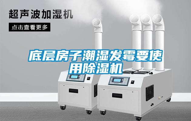底層房子潮濕發霉要使用除濕機