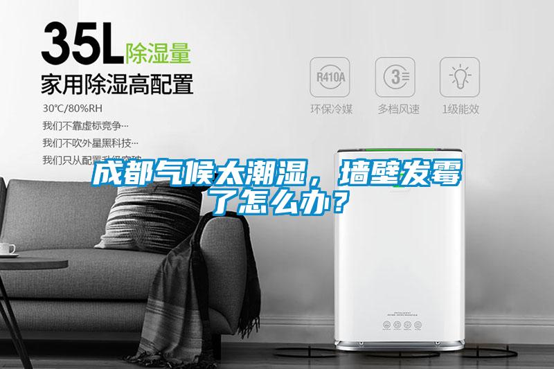 成都氣候太潮濕，墻壁發霉了怎么辦？