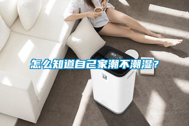 怎么知道自己家潮不潮濕？