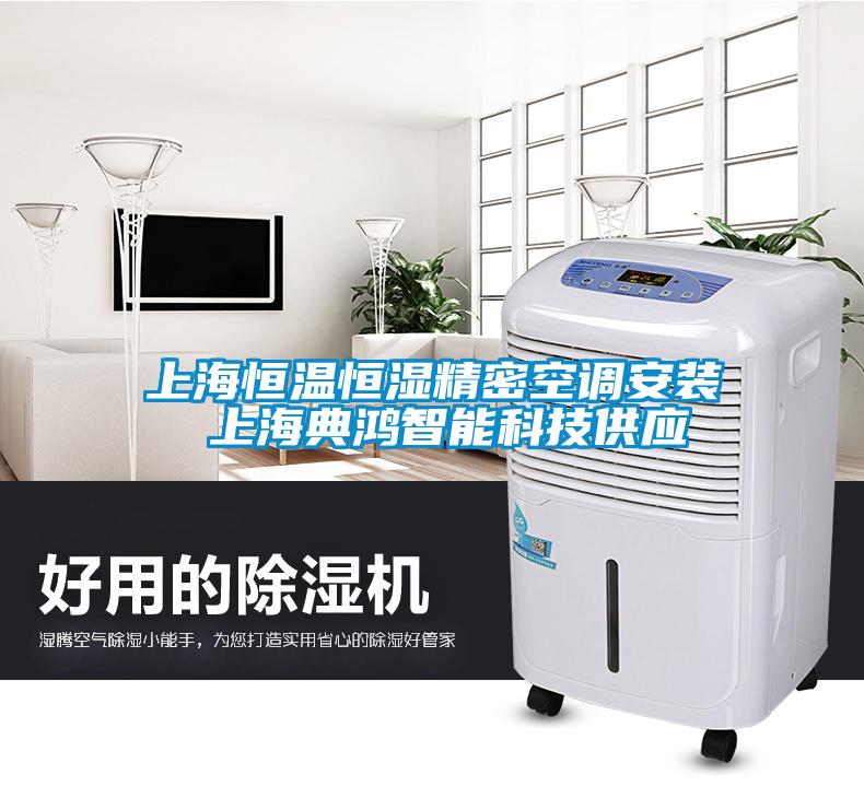 上海恒溫恒濕精密空調安裝 上海典鴻智能科技供應