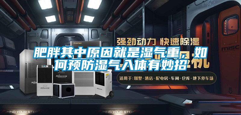 肥胖其中原因就是濕氣重，如何預防濕氣入體有妙招