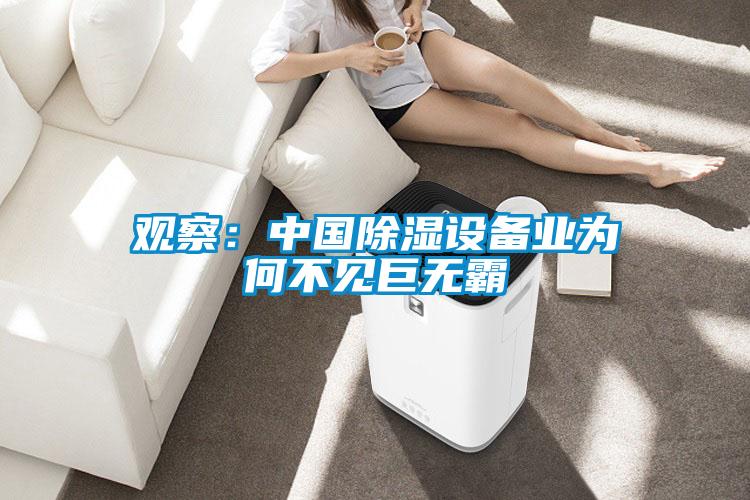 觀察:中國(guó)除濕設(shè)備業(yè)為何不見巨無霸
