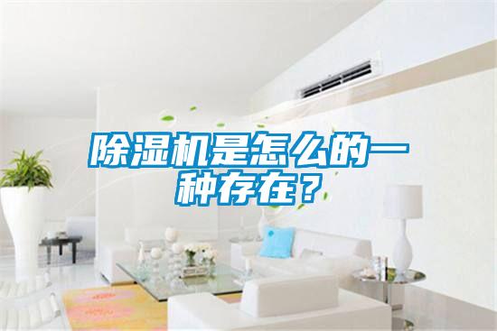 除濕機(jī)是怎么的一種存在？