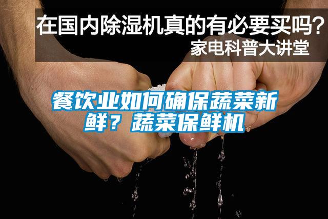 餐飲業如何確保蔬菜新鮮？蔬菜保鮮機