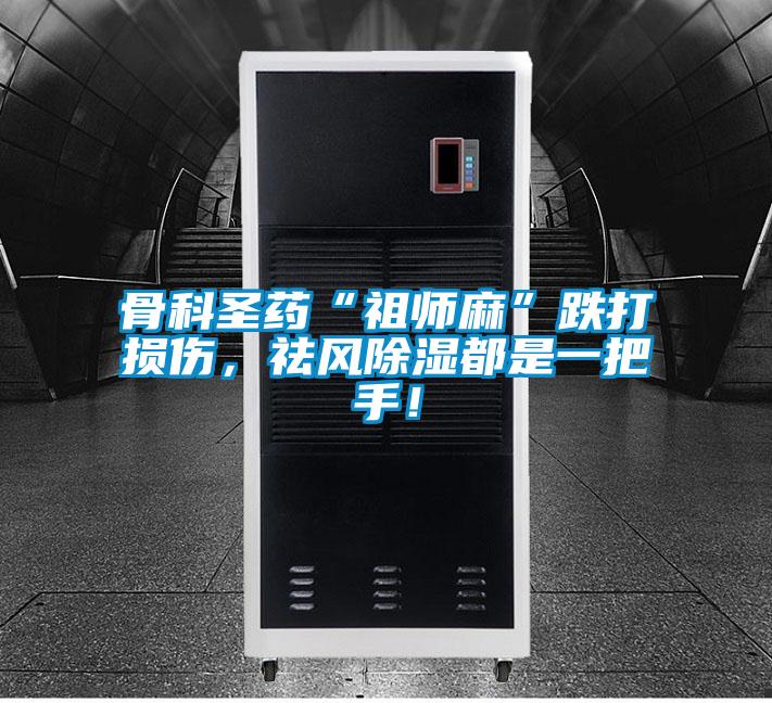 骨科圣藥“祖師麻”跌打損傷，祛風除濕都是一把手！