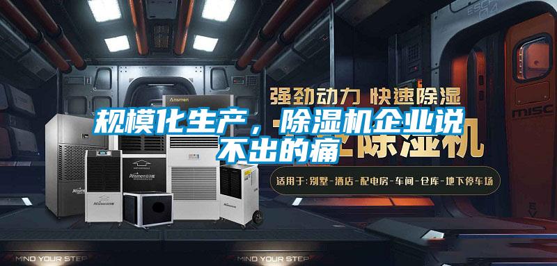 規(guī)?；a(chǎn)，除濕機企業(yè)說不出的痛
