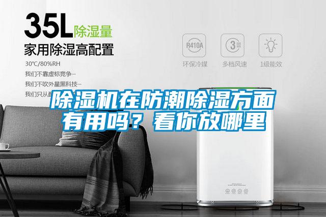 除濕機在防潮除濕方面有用嗎？看你放哪里
