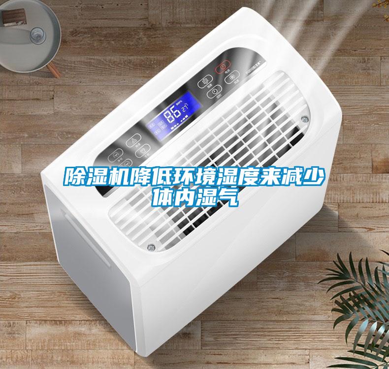 除濕機降低環境濕度來減少體內濕氣