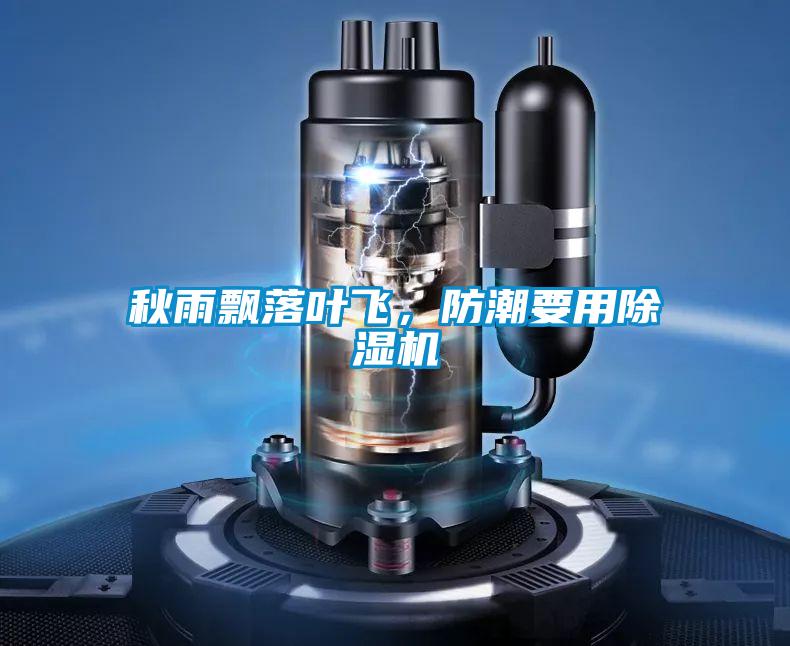 秋雨飄落葉飛，防潮要用除濕機