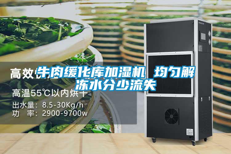 牛肉緩化庫(kù)加濕機(jī) 均勻解凍水分少流失