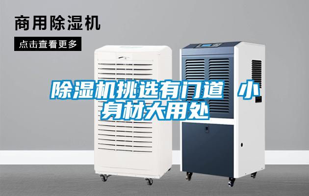 除濕機(jī)挑選有門(mén)道 小身材大用處