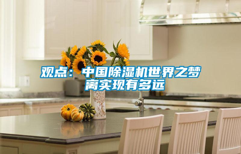 觀點(diǎn)：中國除濕機(jī)世界之夢 離實(shí)現(xiàn)有多遠(yuǎn)