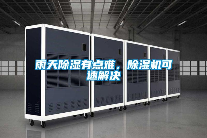 雨天除濕有點難,除濕機可速解決