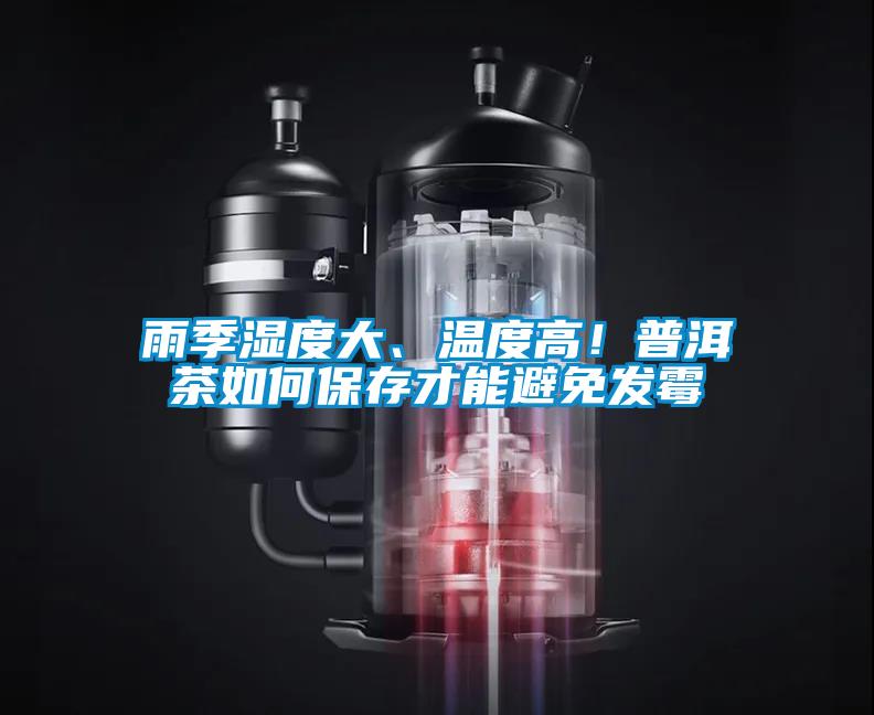 雨季濕度大、溫度高！普洱茶如何保存才能避免發霉