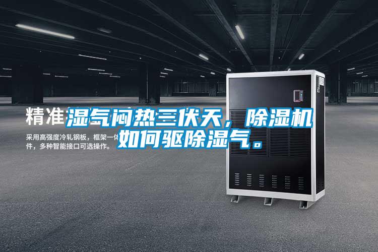 濕氣悶熱三伏天，除濕機如何驅除濕氣。