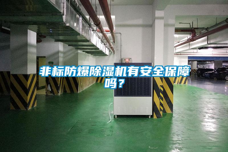 非標防爆除濕機有安全保障嗎？