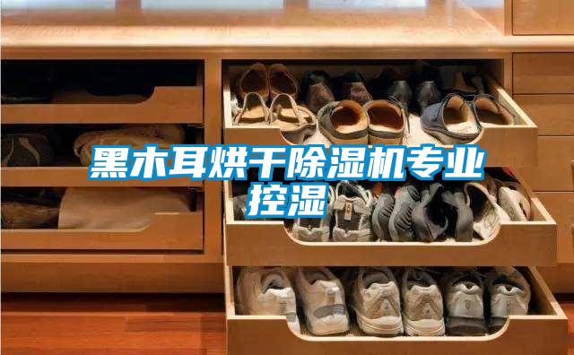 黑木耳烘干除濕機(jī)專(zhuān)業(yè)控濕