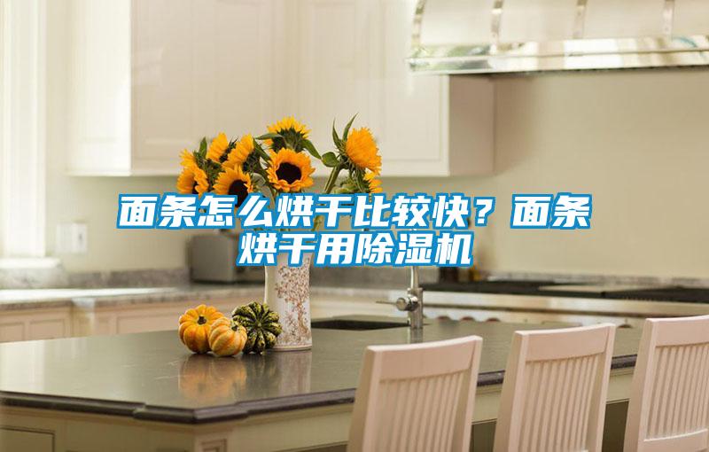面條怎么烘干比較快？面條烘干用除濕機
