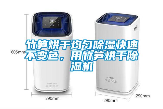 竹筍烘干均勻除濕快速不變色，用竹筍烘干除濕機