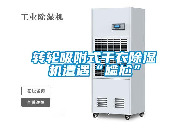 轉(zhuǎn)輪吸附式干衣除濕機遭遇“尷尬”