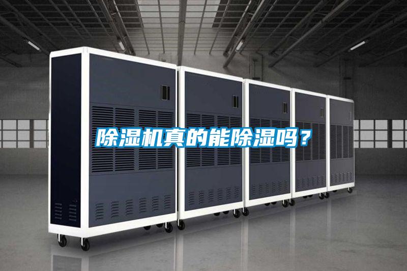 除濕機(jī)真的能除濕嗎？