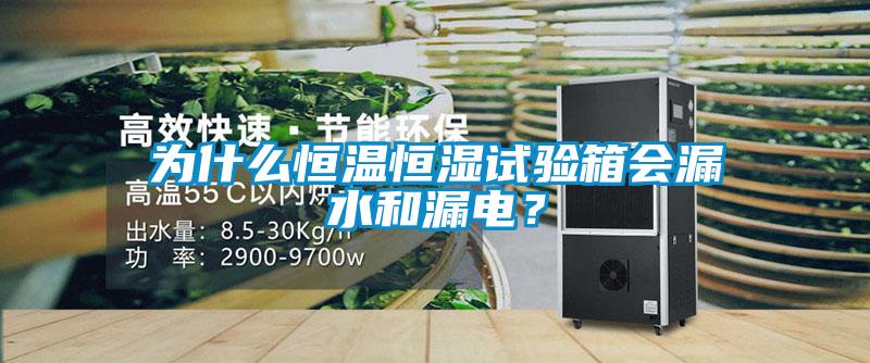 為什么恒溫恒濕試驗箱會漏水和漏電？