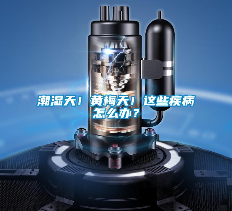 潮濕天！黃梅天！這些疾病怎么辦？
