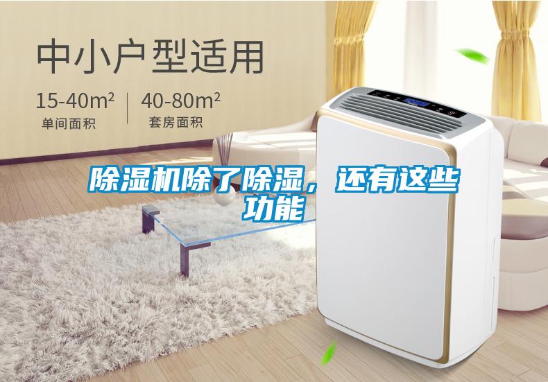 除濕機除了除濕，還有這些功能
