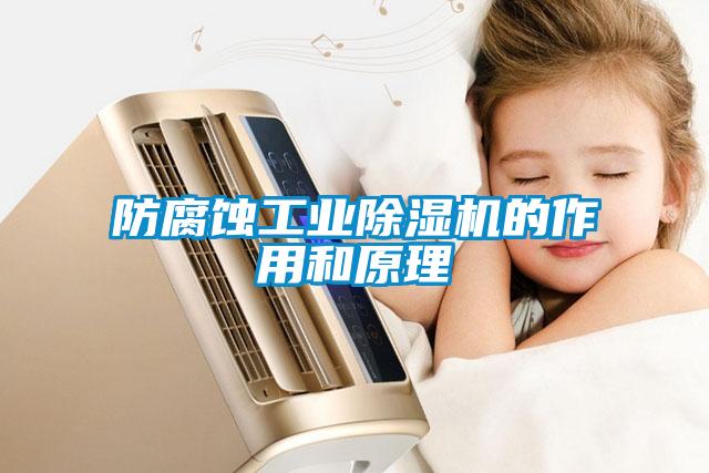 防腐蝕工業除濕機的作用和原理