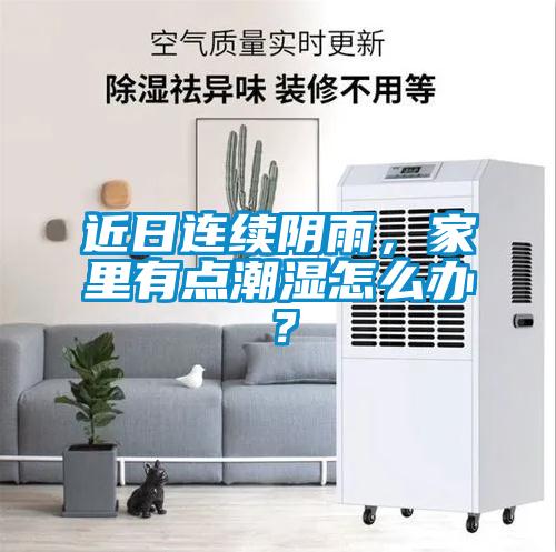 近日連續陰雨，家里有點潮濕怎么辦？