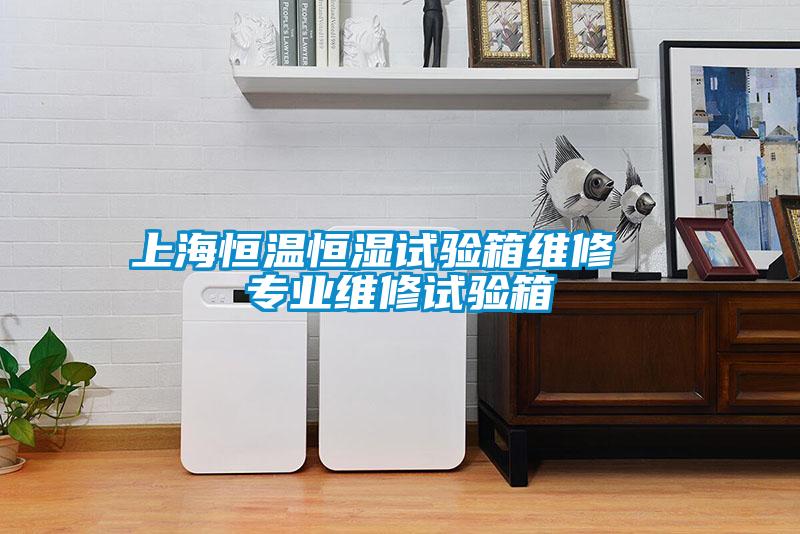 上海恒溫恒濕試驗(yàn)箱維修  專(zhuān)業(yè)維修試驗(yàn)箱