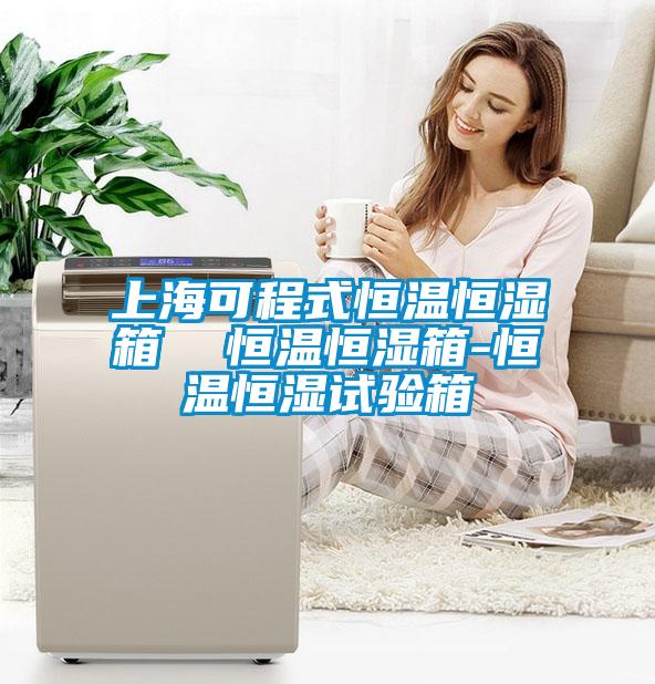 上海可程式恒溫恒濕箱  恒溫恒濕箱-恒溫恒濕試驗箱