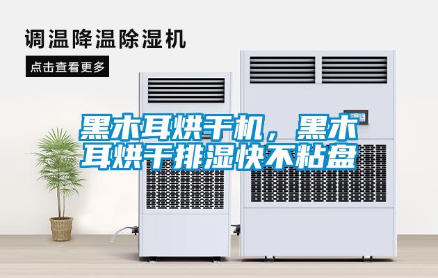黑木耳烘干機，黑木耳烘干排濕快不粘盤