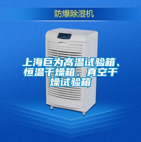 上海巨為高溫試驗箱、恒溫干燥箱、真空干燥試驗箱