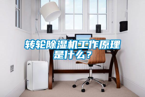 轉輪除濕機工作原理是什么？