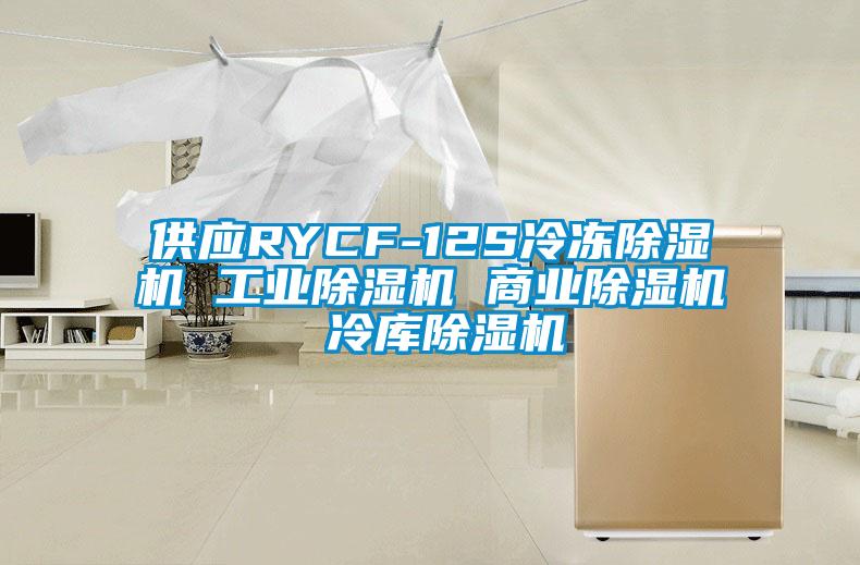 供應(yīng)RYCF-12S冷凍除濕機(jī) 工業(yè)除濕機(jī) 商業(yè)除濕機(jī) 冷庫除濕機(jī)