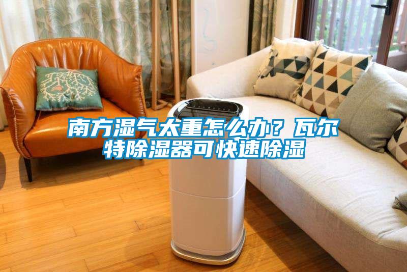 南方濕氣太重怎么辦？瓦爾特除濕器可快速除濕