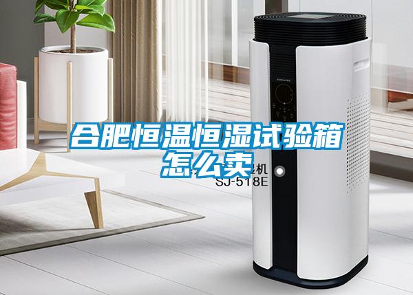 合肥恒溫恒濕試驗(yàn)箱怎么賣