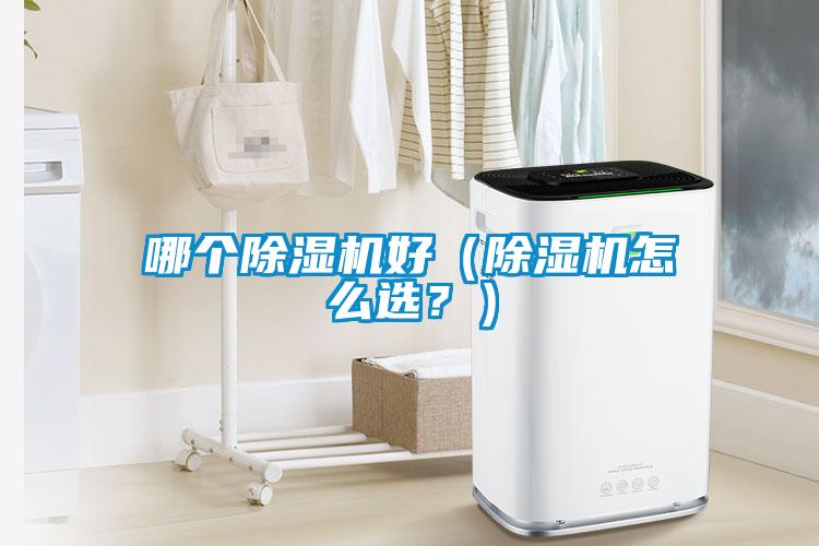 哪個(gè)除濕機(jī)好（除濕機(jī)怎么選？）
