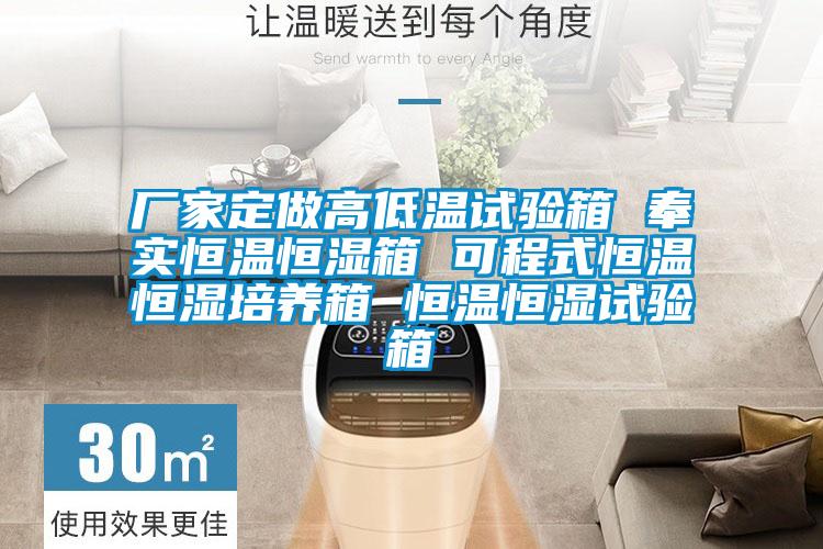 廠家定做高低溫試驗箱 奉實恒溫恒濕箱 可程式恒溫恒濕培養(yǎng)箱 恒溫恒濕試驗箱