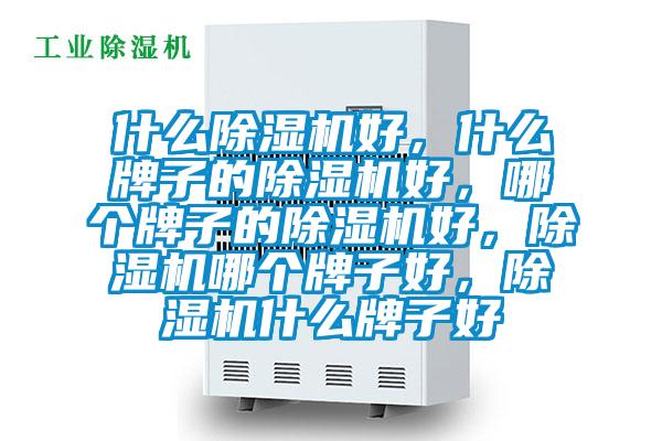 什么除濕機好，什么牌子的除濕機好，哪個牌子的除濕機好，除濕機哪個牌子好，除濕機什么牌子好