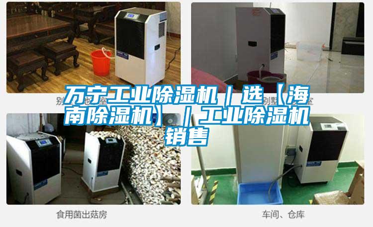 萬寧工業(yè)除濕機(jī)｜選【海南除濕機(jī)】｜工業(yè)除濕機(jī)銷售