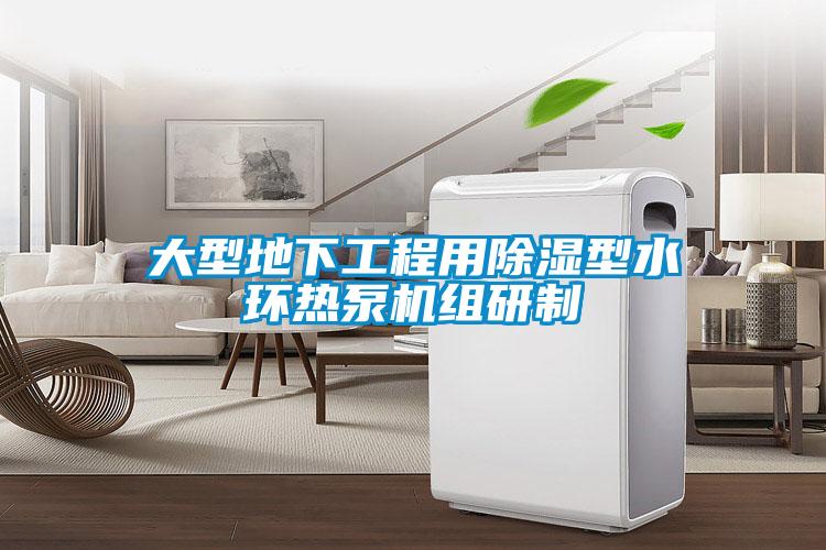 大型地下工程用除濕型水環(huán)熱泵機組研制