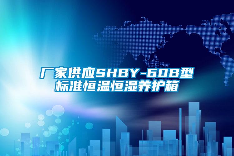 廠家供應SHBY-60B型標準恒溫恒濕養護箱