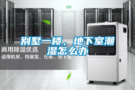 別墅一樓，地下室潮濕怎么辦